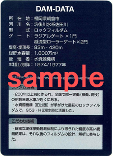 Dam Card2