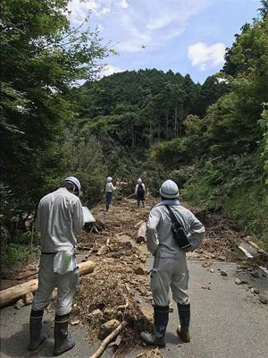 A logging road damage survey