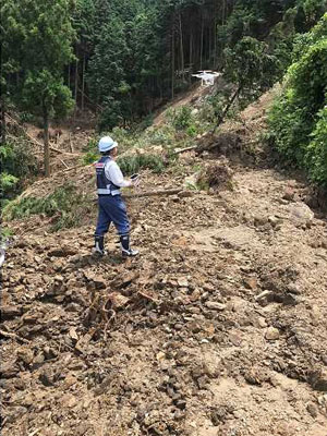 A logging road damage survey