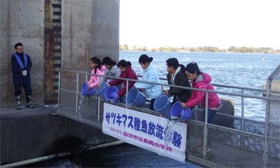 Hands-on learning of juvenile red-spotted masu salmon stocking event on 2nd December, 2016