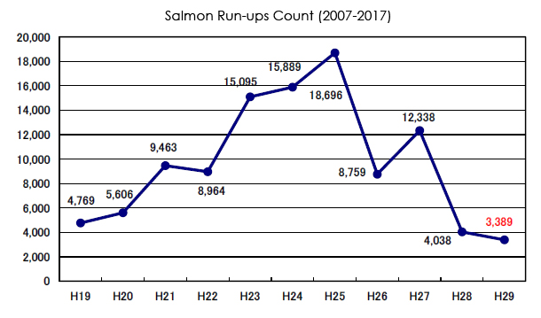 Salmon Run-ups Count (2007-2017)