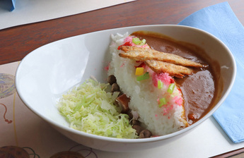 Irukaike Dam Curry and Rice