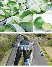 豊川用水地区水の恵みカード詳細ページへ