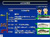 画面
