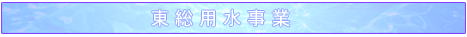 �����p������