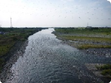 公園全景(奥:展望台)の写真
