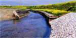 高良川の多自然型護岸の写真