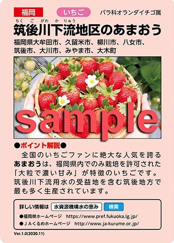 水の恵みカード(表)