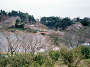 甘木（丸山）公園