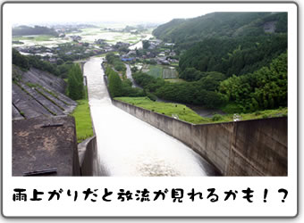 雨上がりだと放流が見れるかも