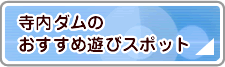 寺内ダムのおすすめ遊びスポット