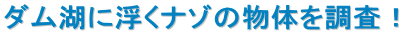 �_���΂ɕ����i�]�̕��̂𒲍��I