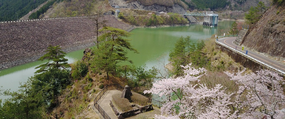 春の写真ダム湖と桜