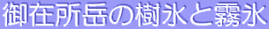 ݏx̎XƖX 