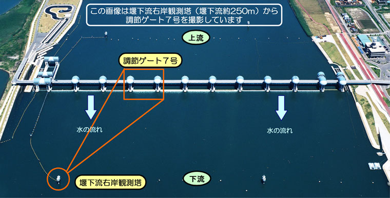 ライブ画像撮影場所