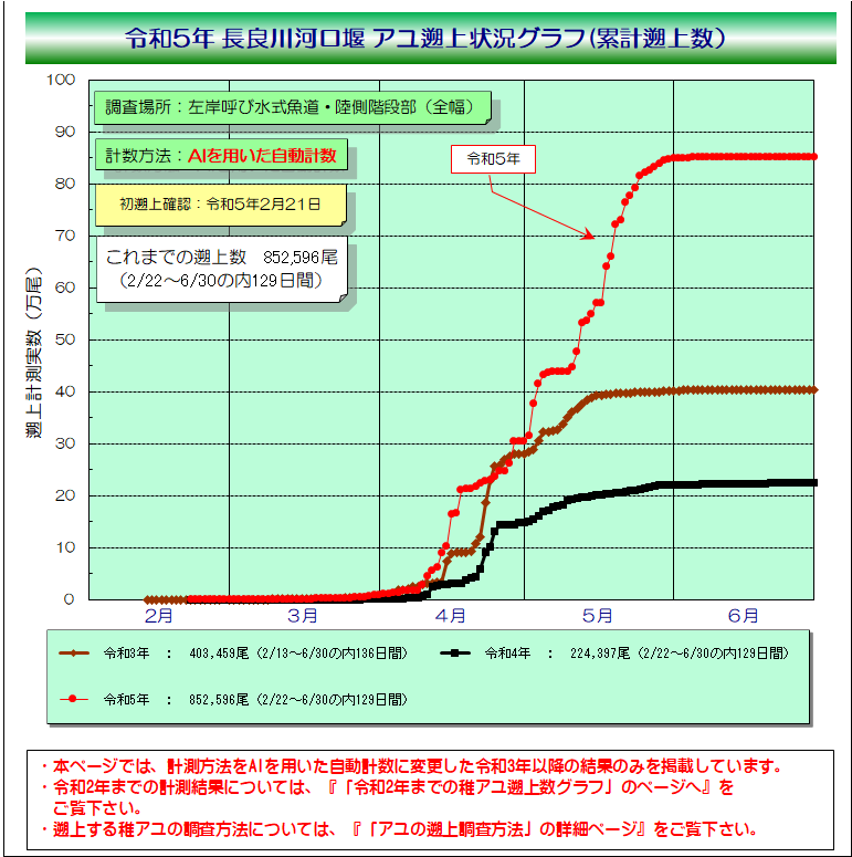 アユ遡上状況グラフ