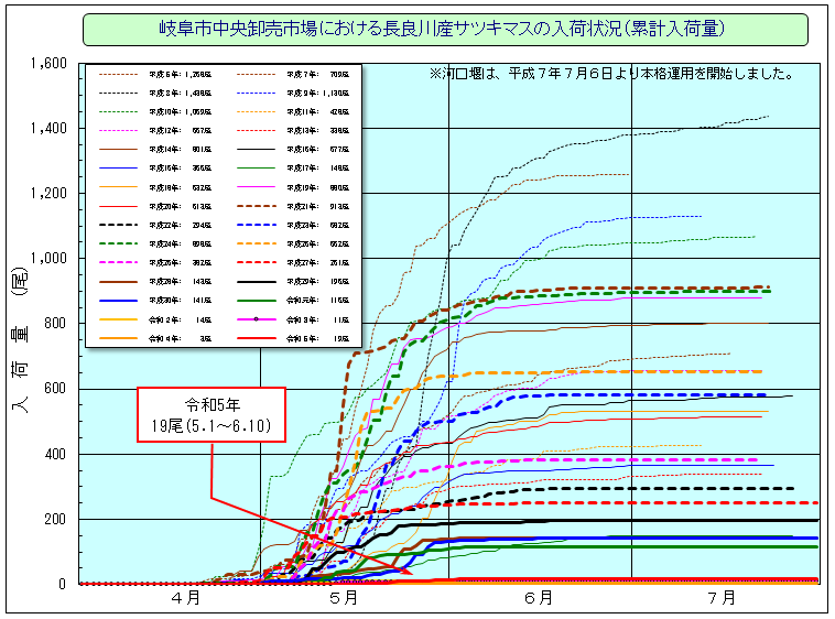 サツキマスの入荷状況のグラフ