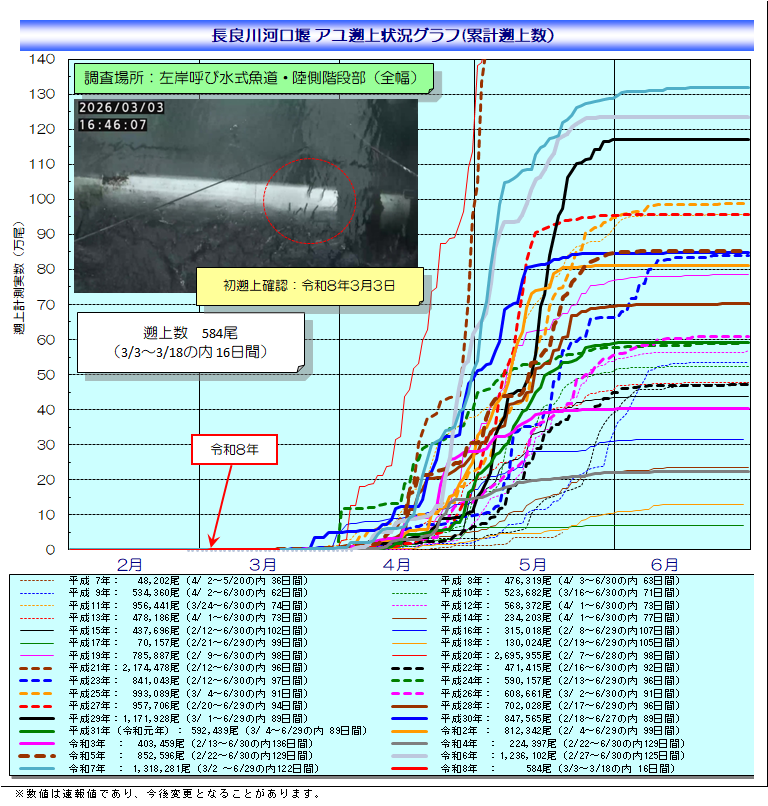 アユ遡上状況グラフ