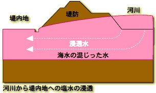 河川から堤内地への塩水の浸透の図