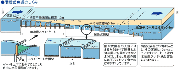 階段式魚道の仕組みの図