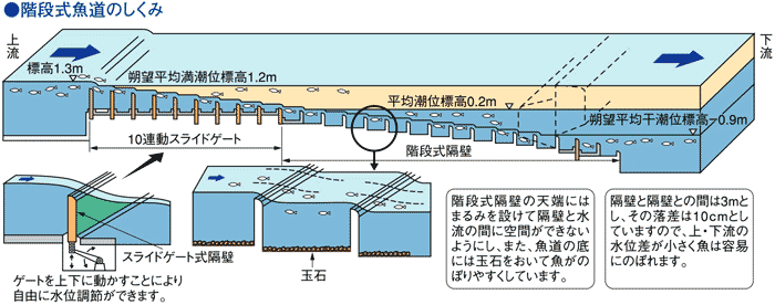 呼水（よびみず）式魚道