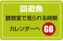 回遊魚カレンダーのバナー