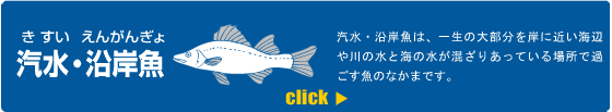 汽水・沿岸魚のバナー