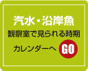 汽水・沿岸魚のバナー