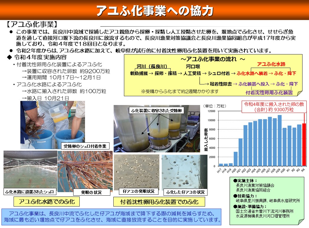 アユふ化事業への協力