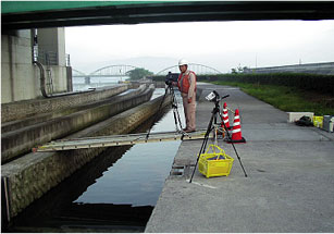 A survey of Ayu traveling upstream (at the Estuary Barrage)