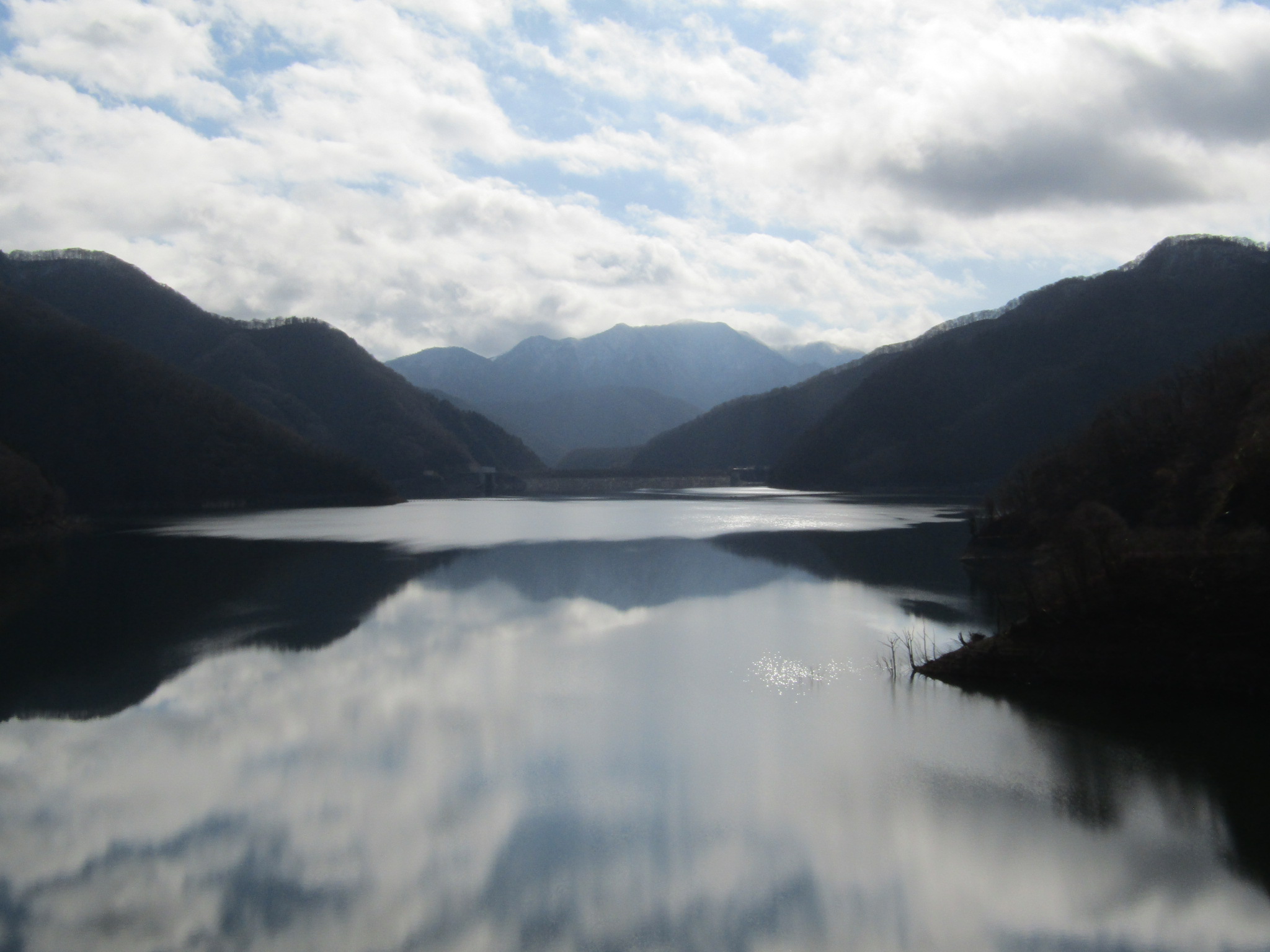 �����r���f���i���V�R�������j����̕��ʂ�]��