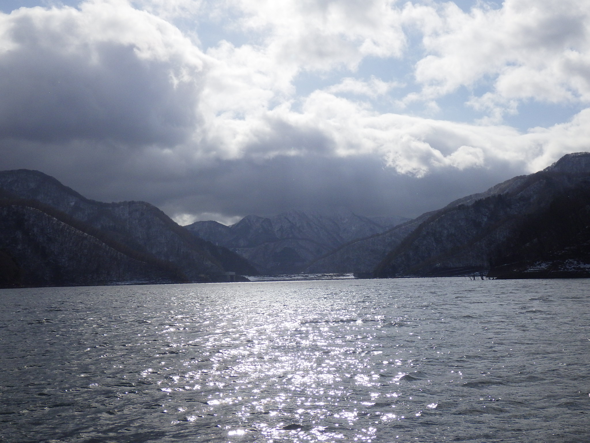 �����r���f���i���V�R�������j����̕��ʂ�]��