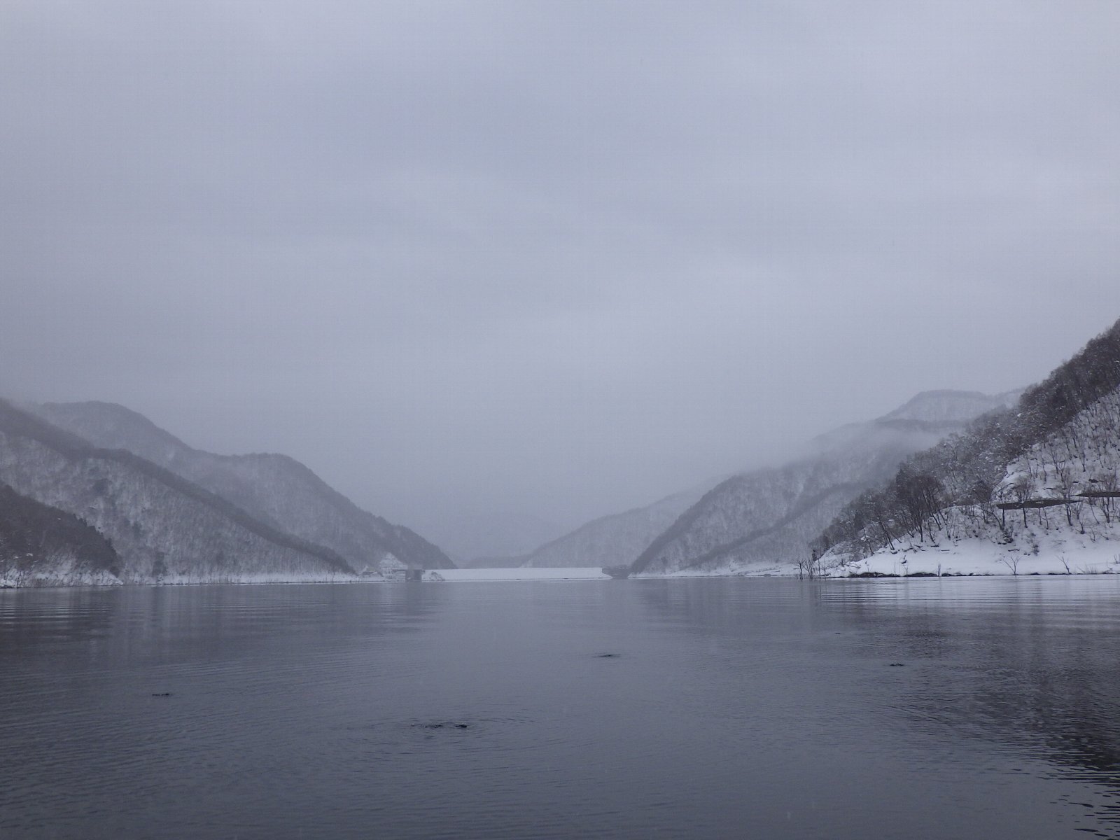 �����r���f���i���V�R�������j����̕��ʂ�]��