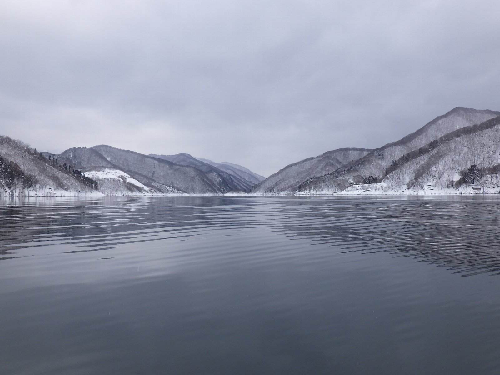 ���R��ق��㗬��]�ށi�ʐ^�j