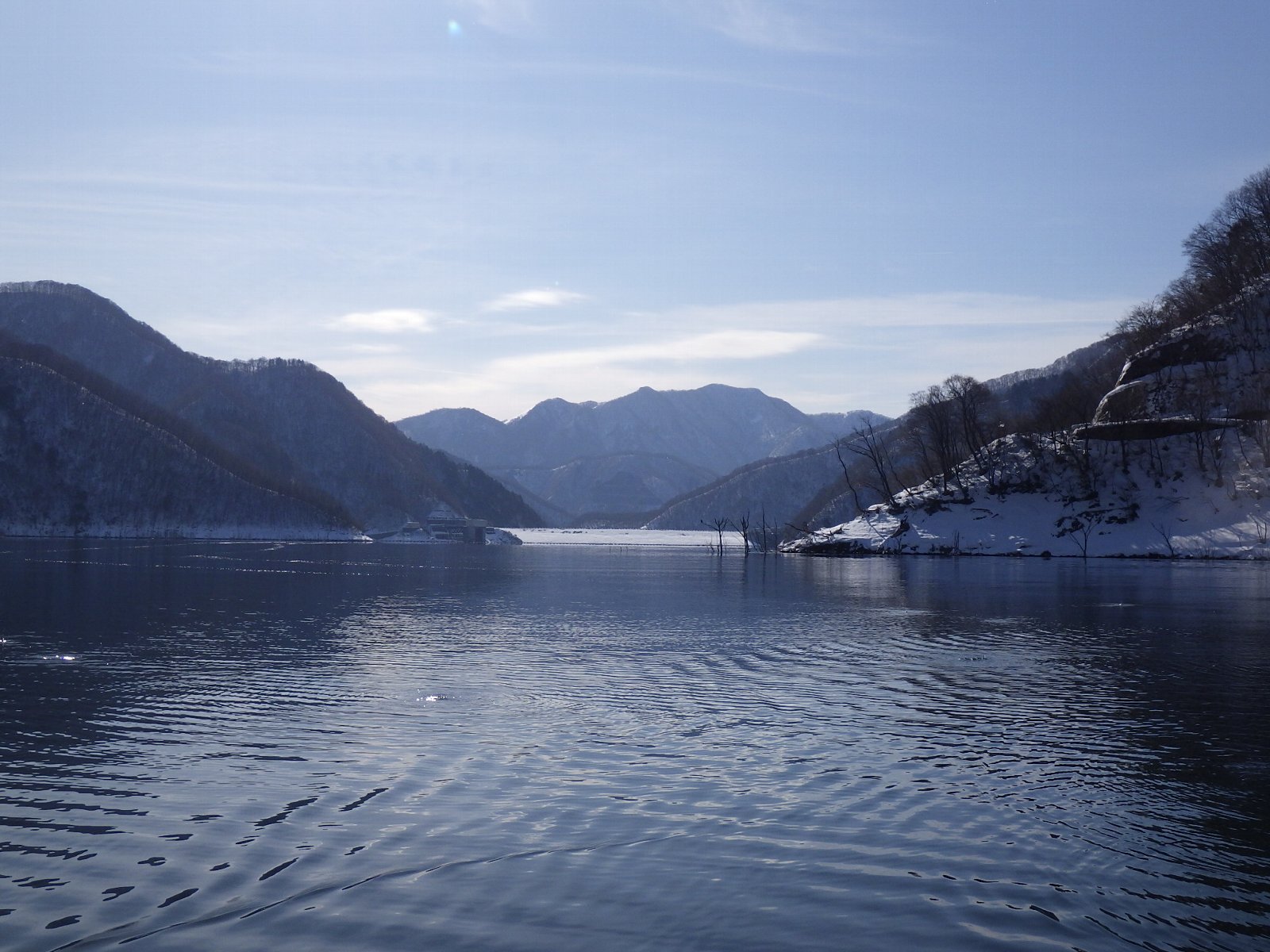 �����r���f���i���V�R�������j����̕��ʂ�]��