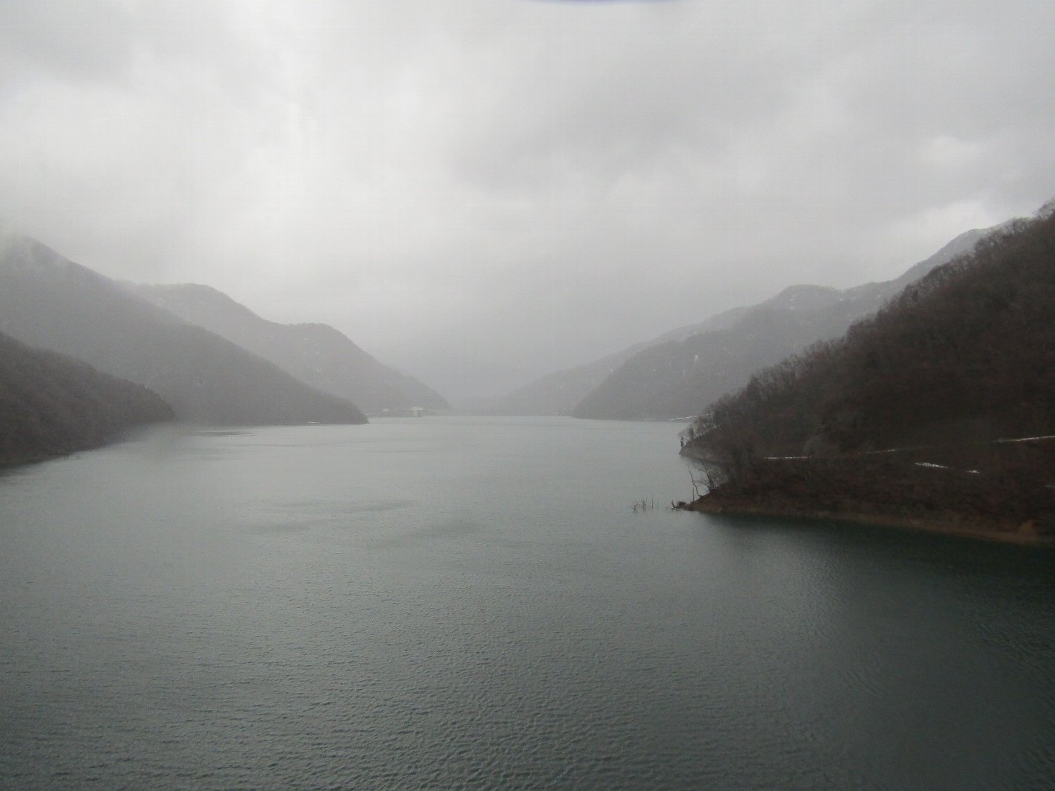 �����r���f���i���V�R�������j����̕��ʂ�]��