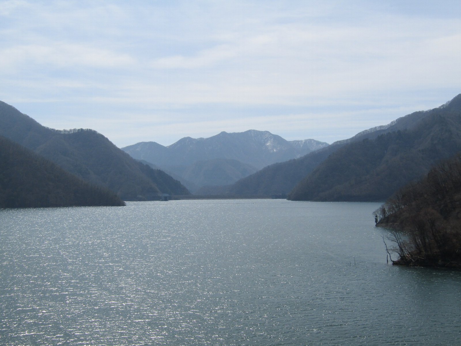 �����r���f���i���V�R�������j����̕��ʂ�]��