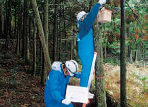 Environmental Survey Installation of dormice(Koishibaragawa Dam)