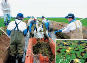 Participation in floating hearts preservation activities (Lake Biwa  Development)