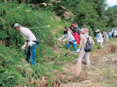 Underbrush clearing activity with people of upstream and downstream areas (Oyama Dam)