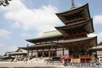 Narita-san Shinshoji Temple