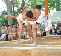 Sasagawa Sumo Festival