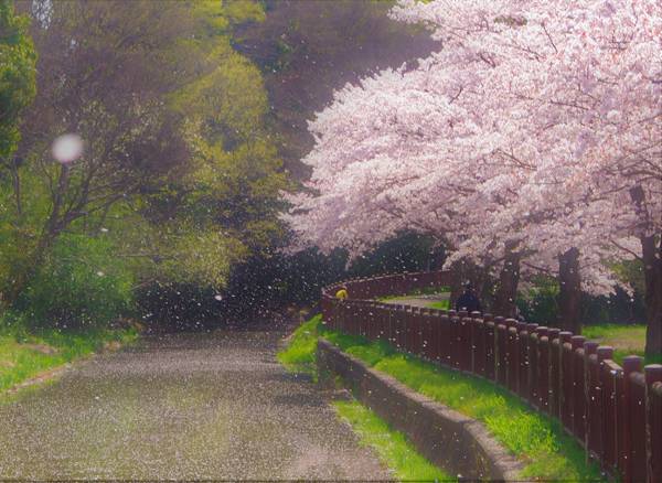 slide07