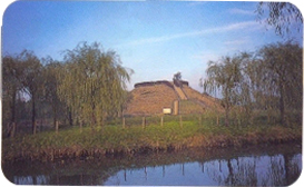 Sakitama Ancient Burial Mounds