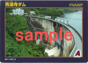 Dam Card1