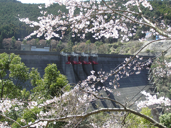 Japan Water Agency] Dams | Northern Kyushu Area | Egawa Dam