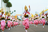 Tokushima City, the city of Awaodori