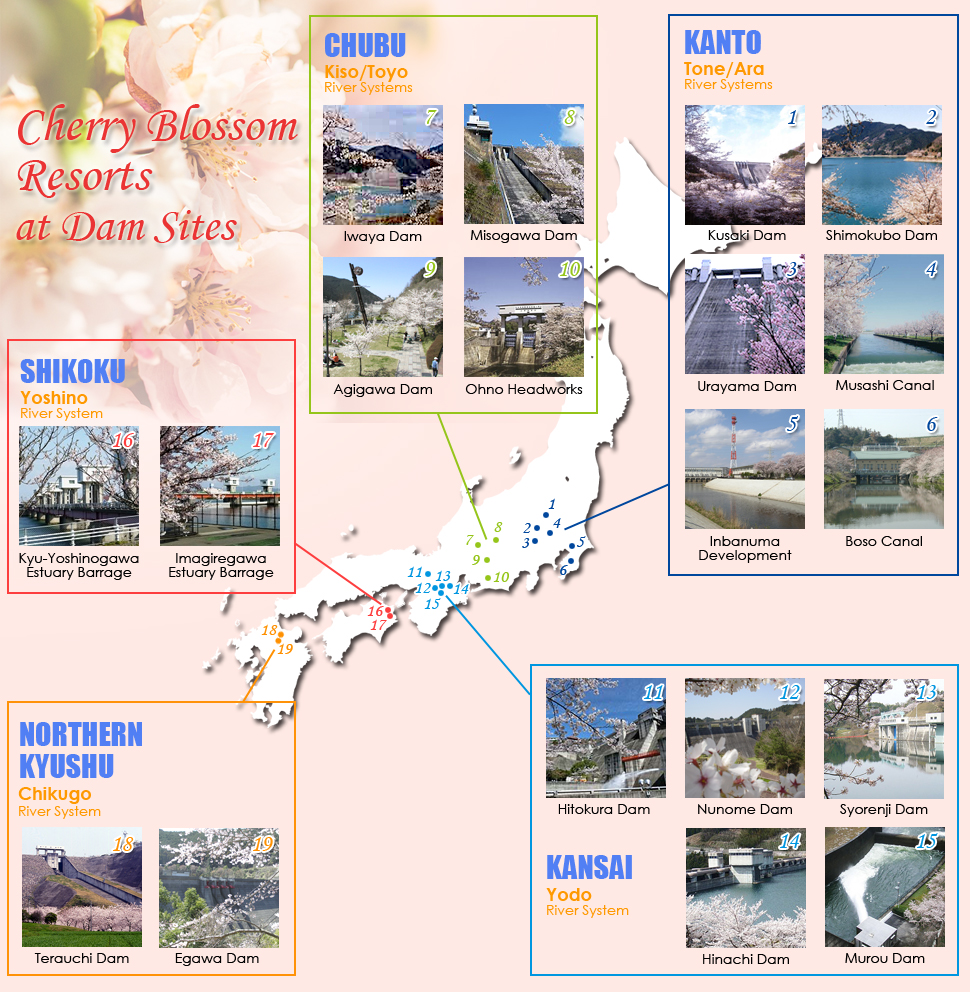 Cherry Blossoms Resorts at Dam Sites