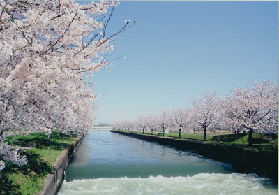 Winter public tours were offered at Yagisawa Dam / Naramata Dam