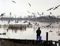 Takashima City Shinasahi Waterfowl Observation Center